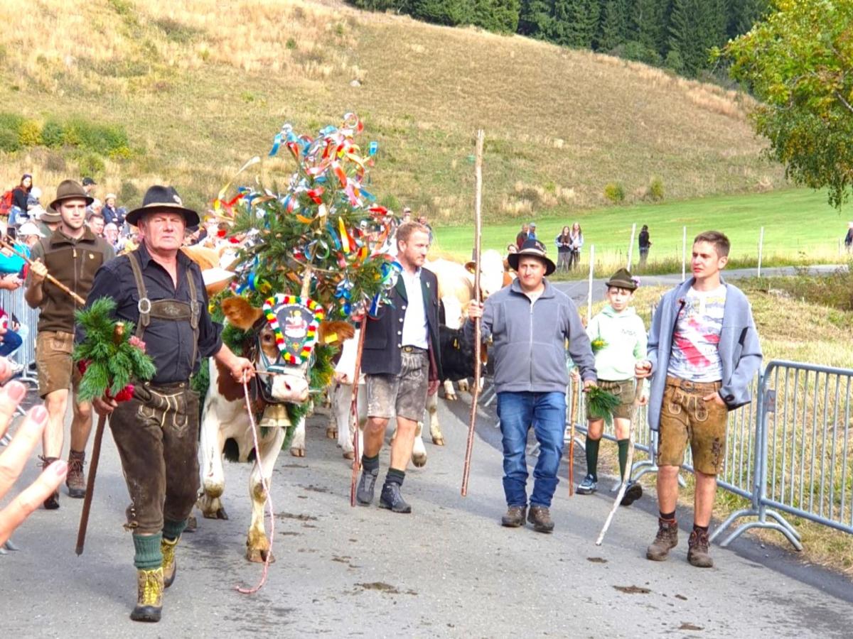 De omgeving van Sankt Lambrecht