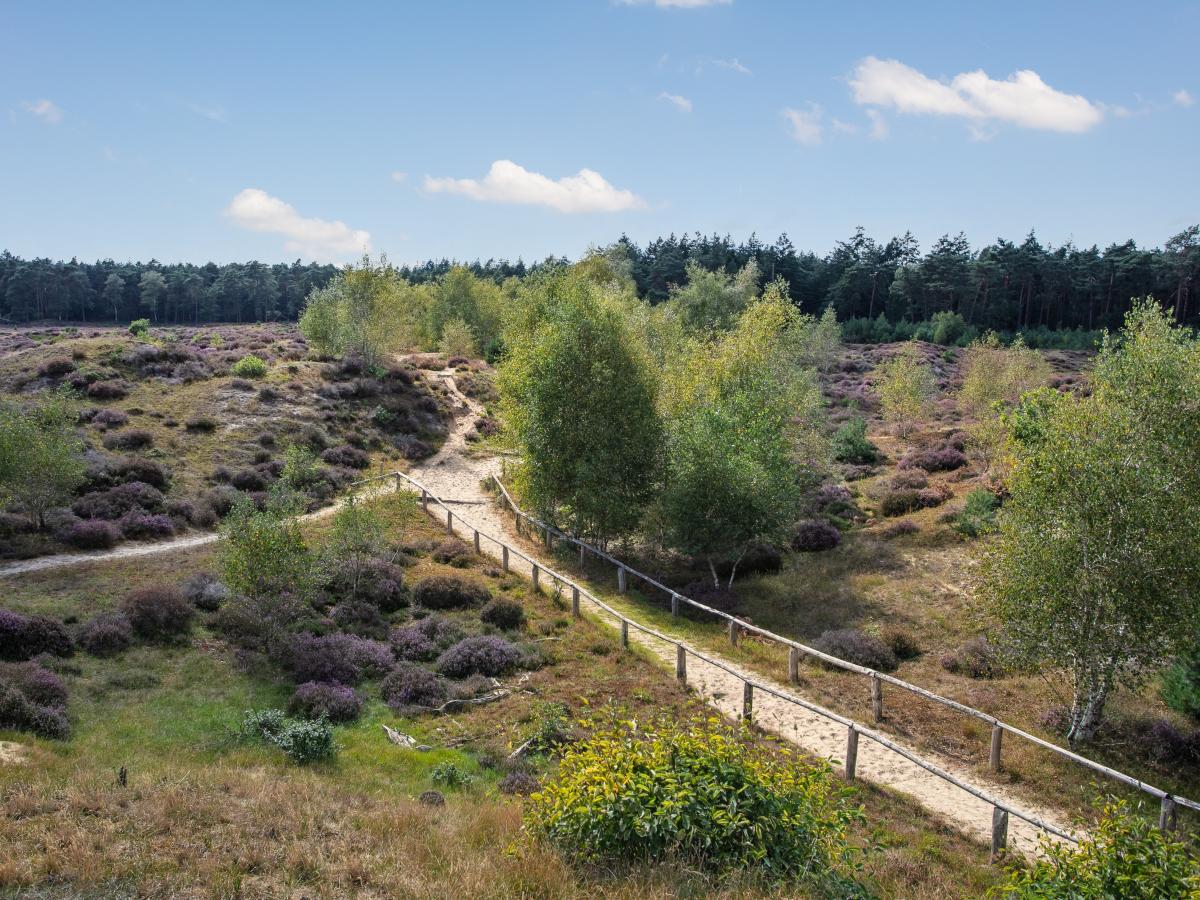 De omgeving van Hulshorst