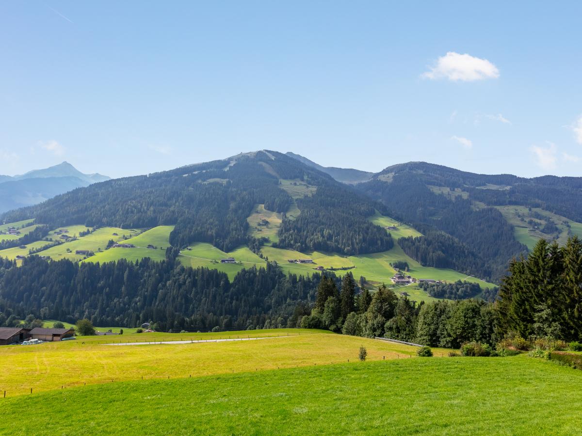 View Summer