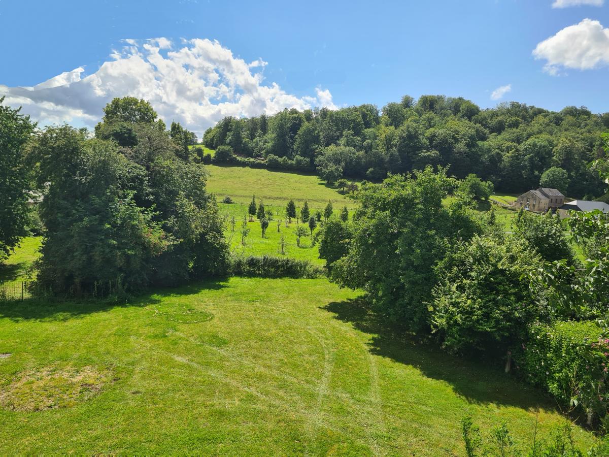 View Summer