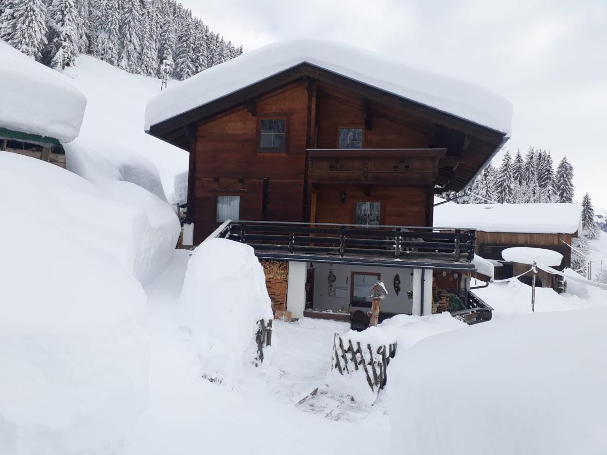 Exterior Winter