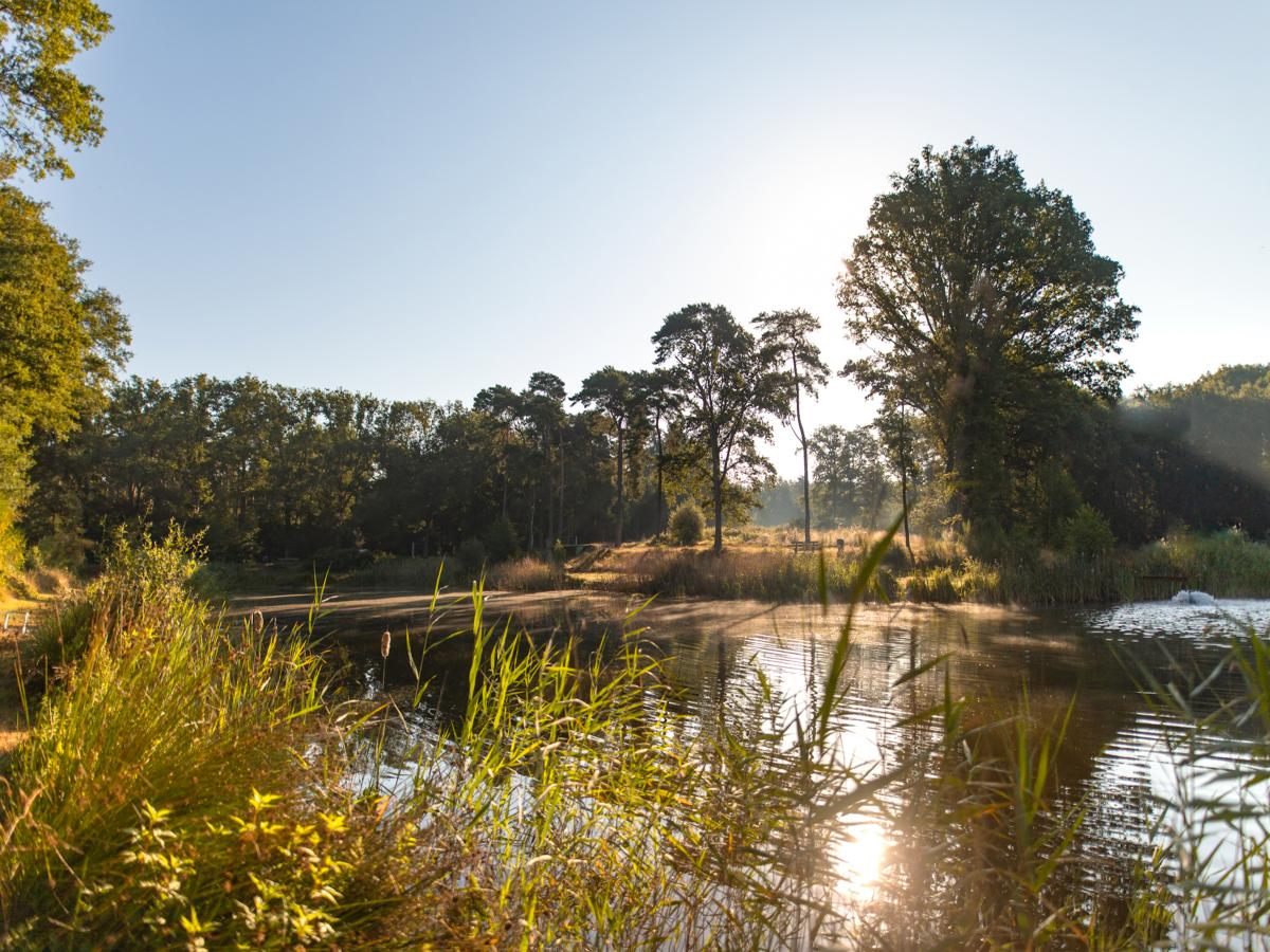 De omgeving van Vessem