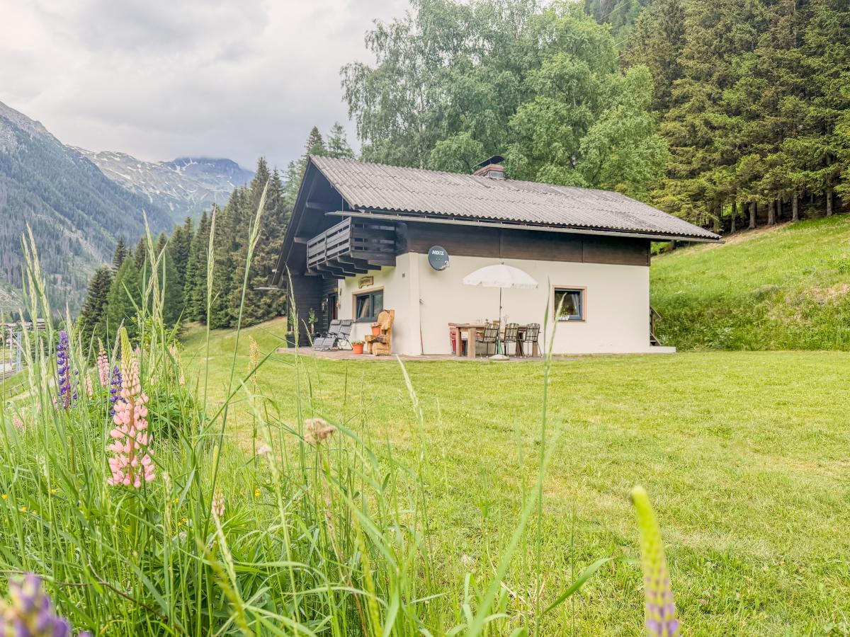 Exterior Summer
