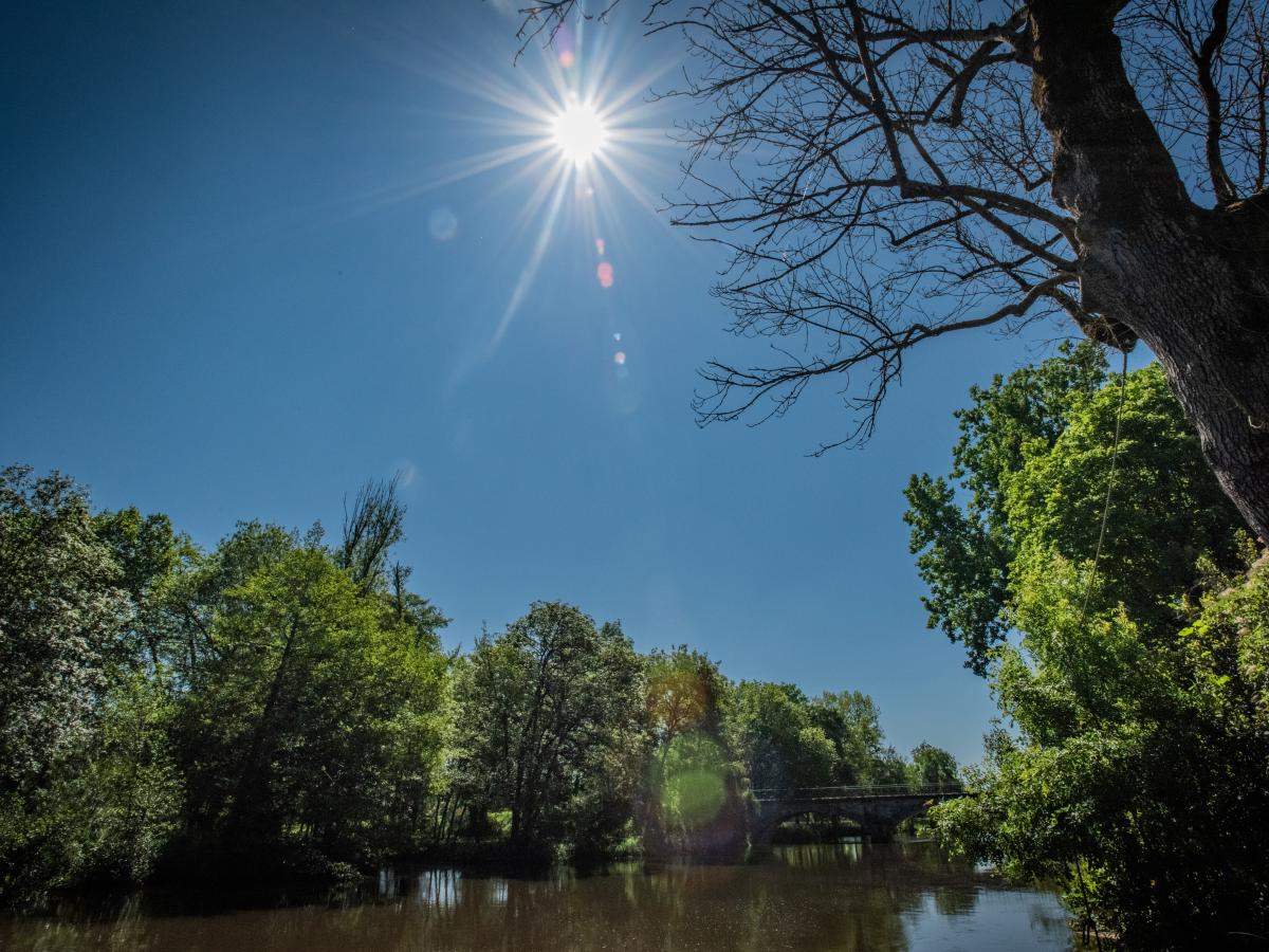 Water View
