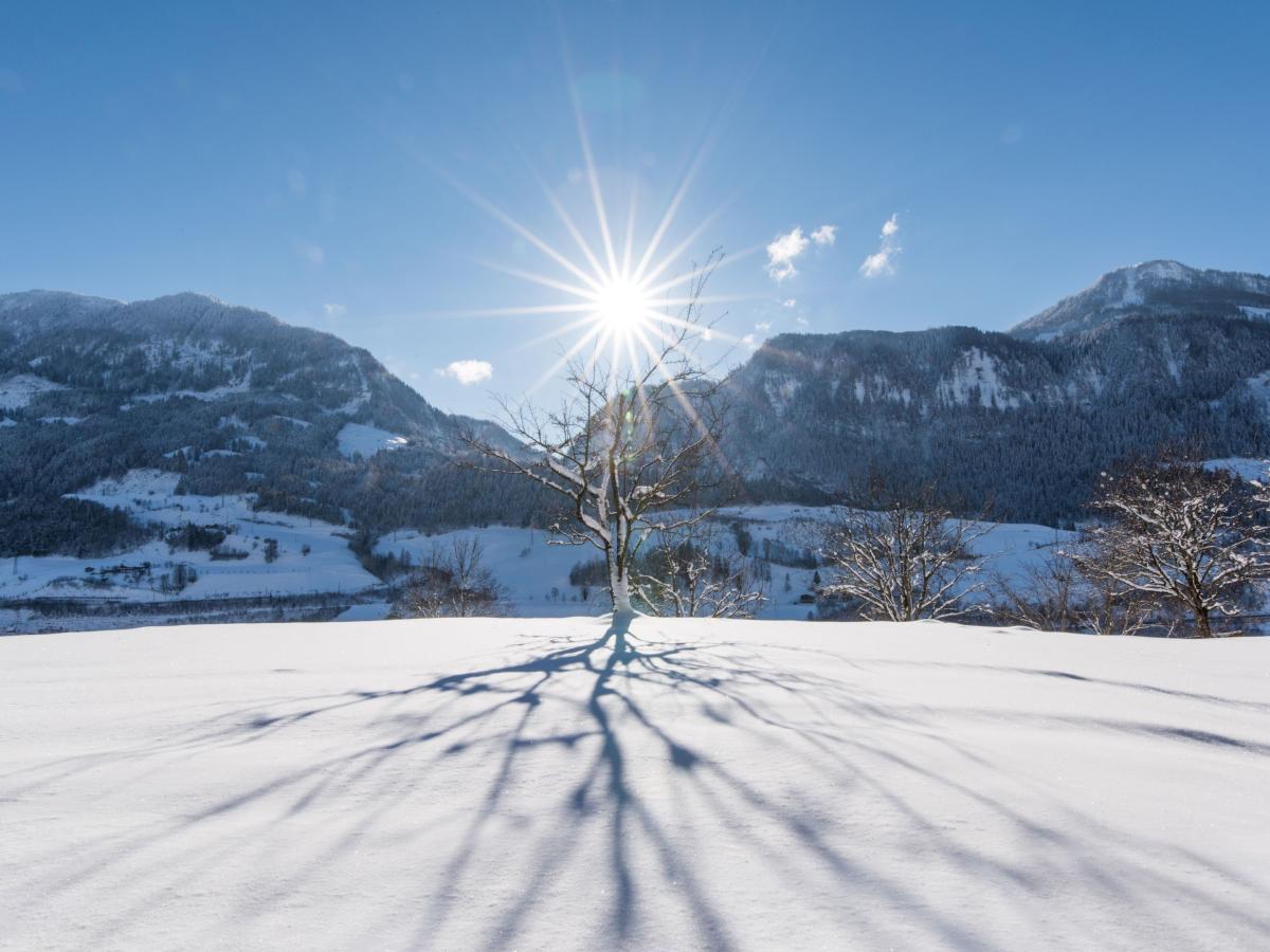 View Winter
