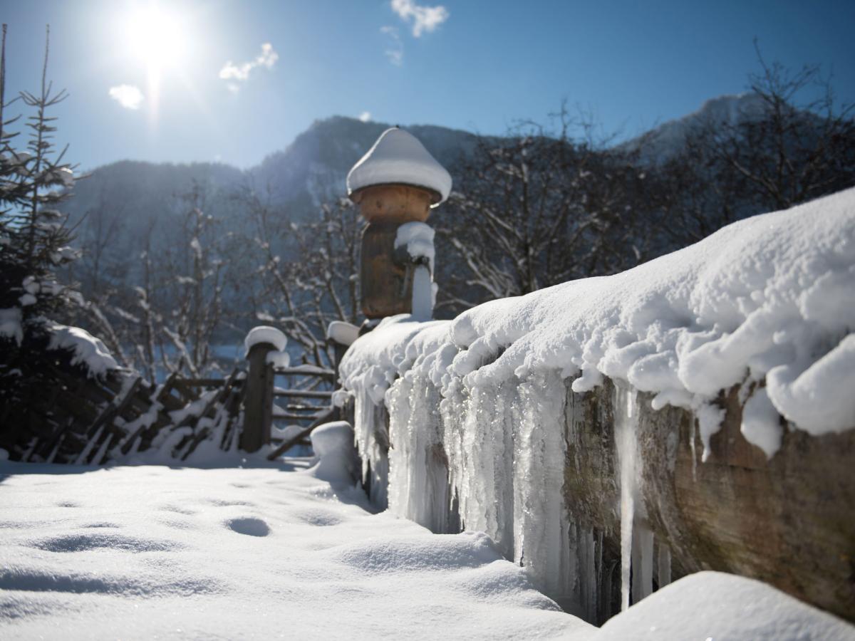 Garden Winter