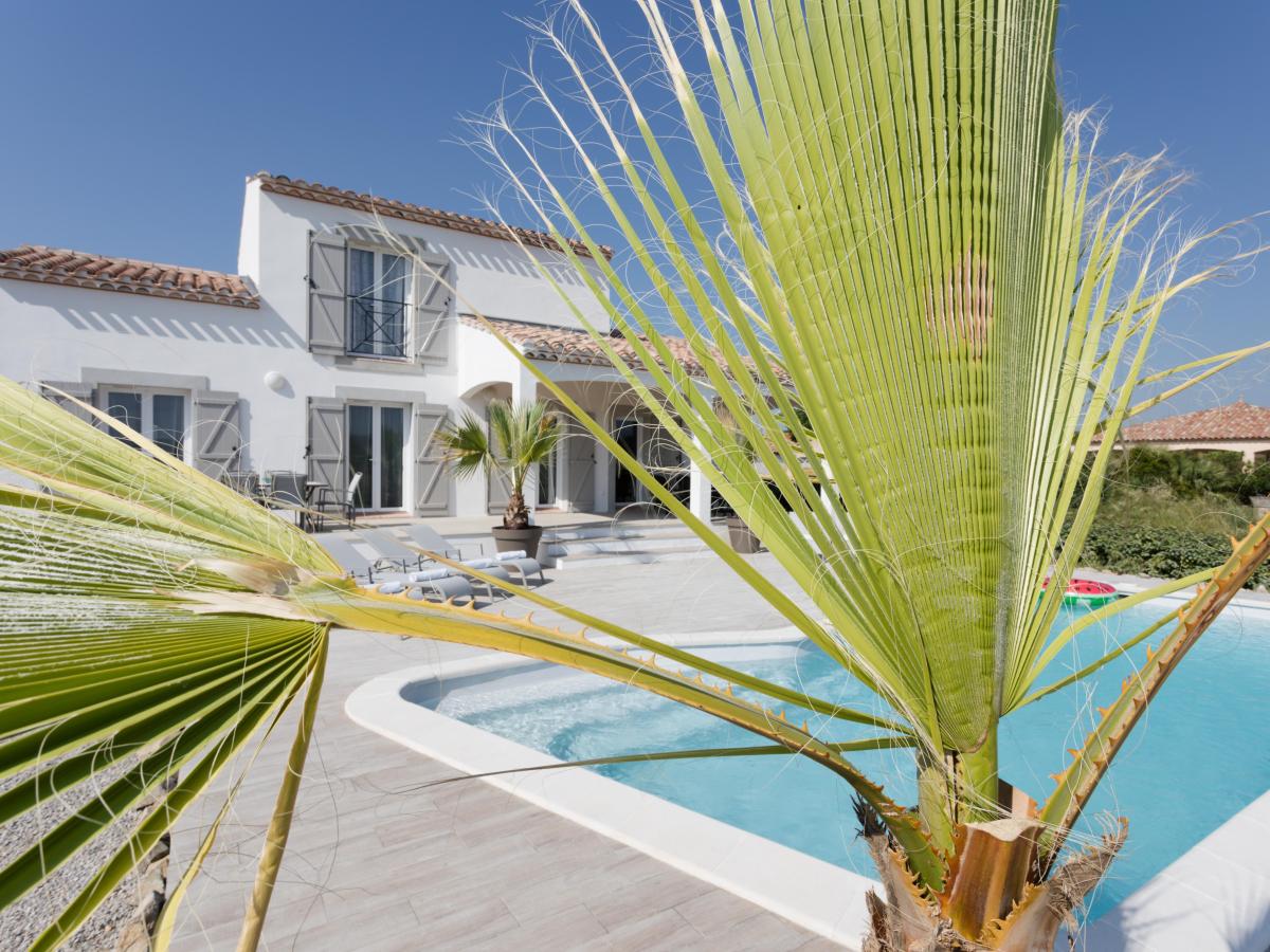 Pool Of House