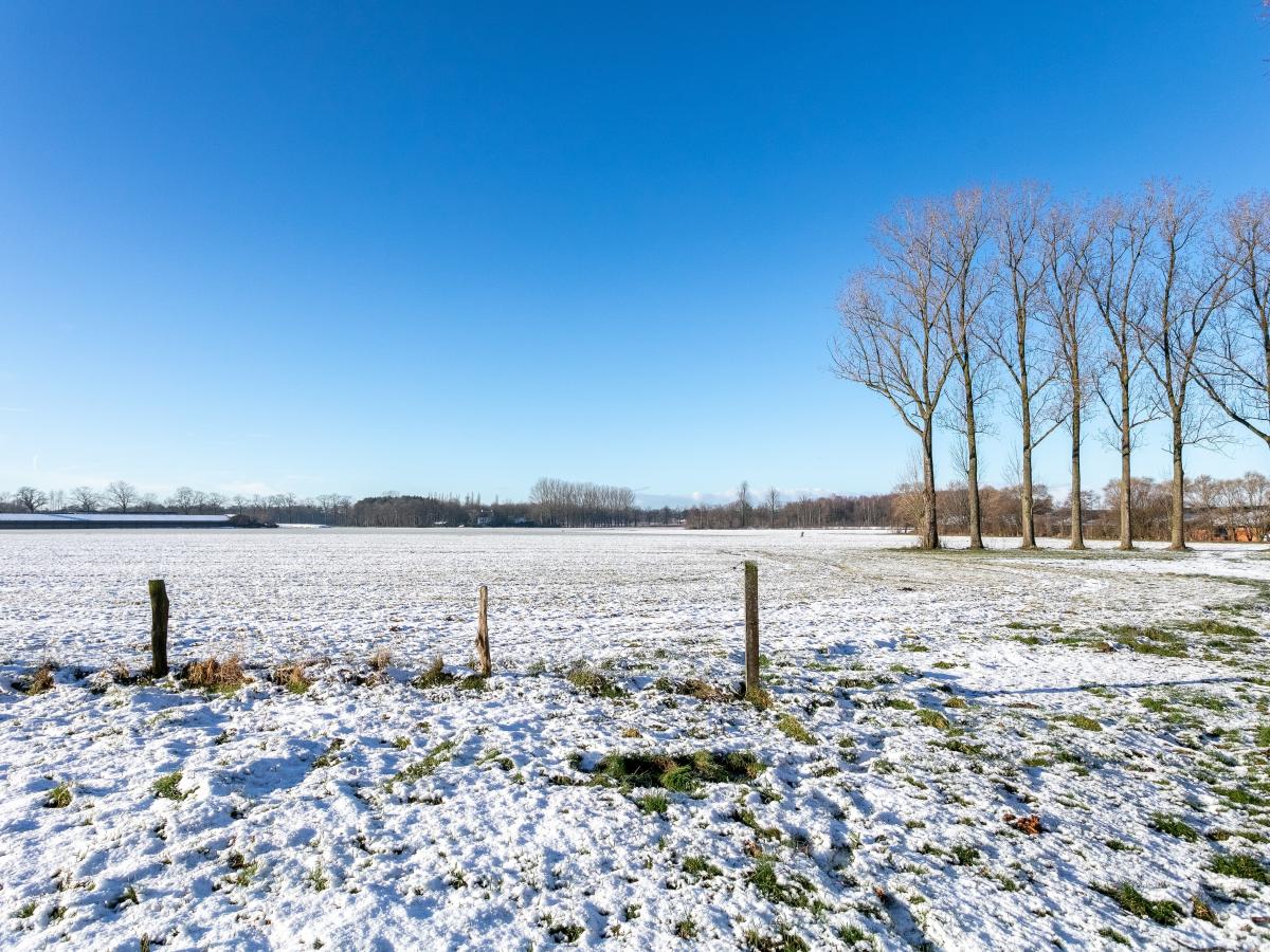 Garden Winter