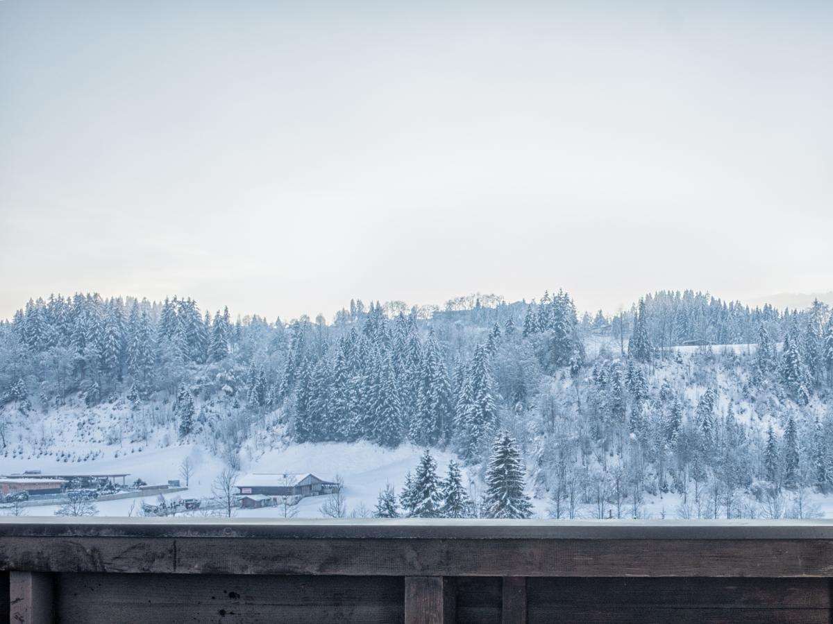 View Winter