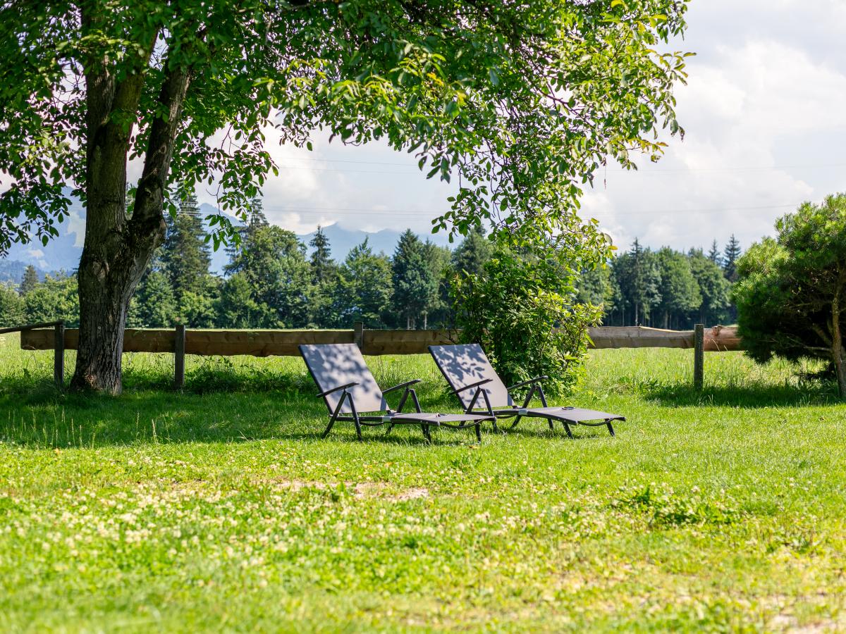 Garden Summer
