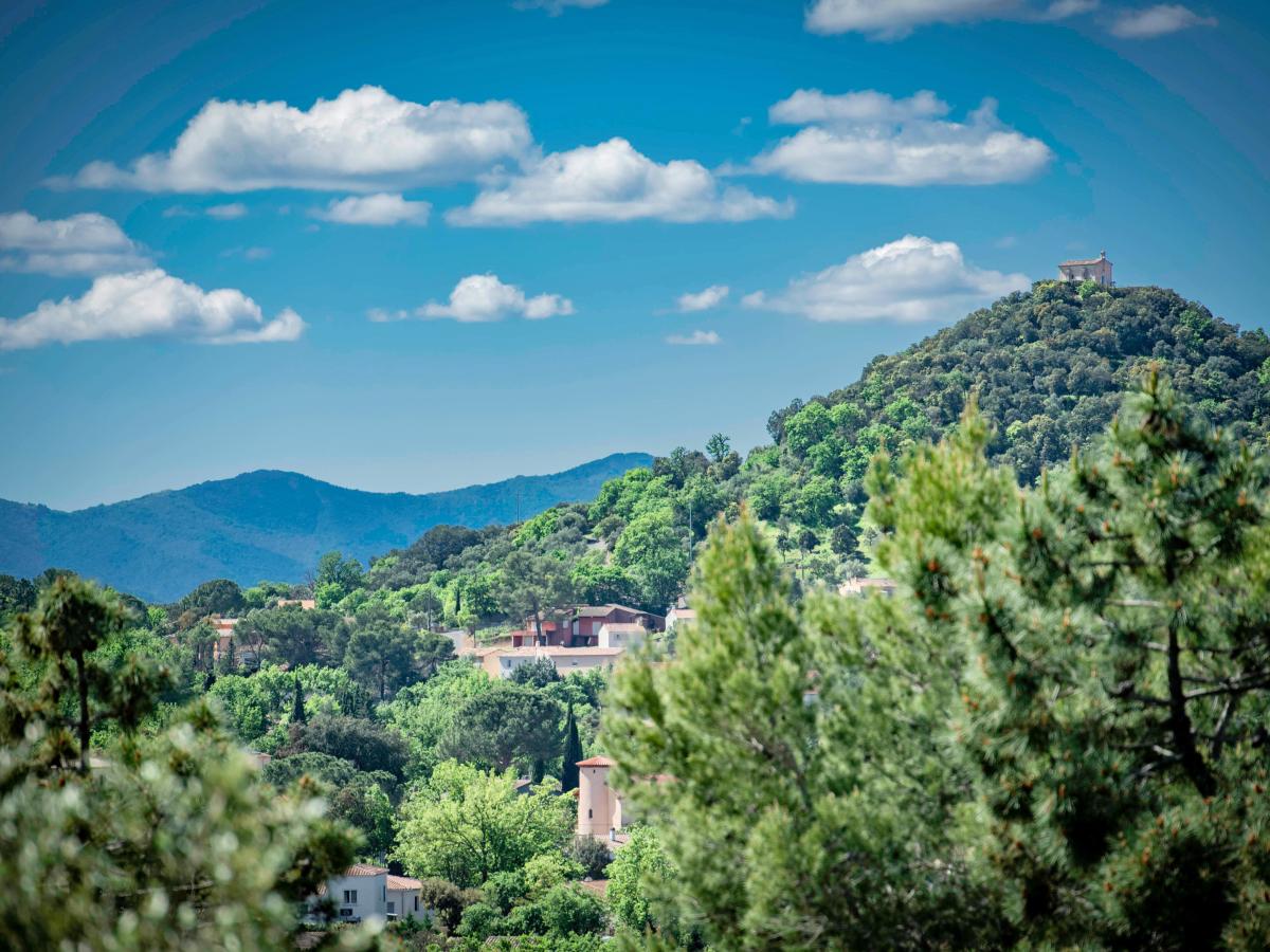 De omgeving van Vidauban