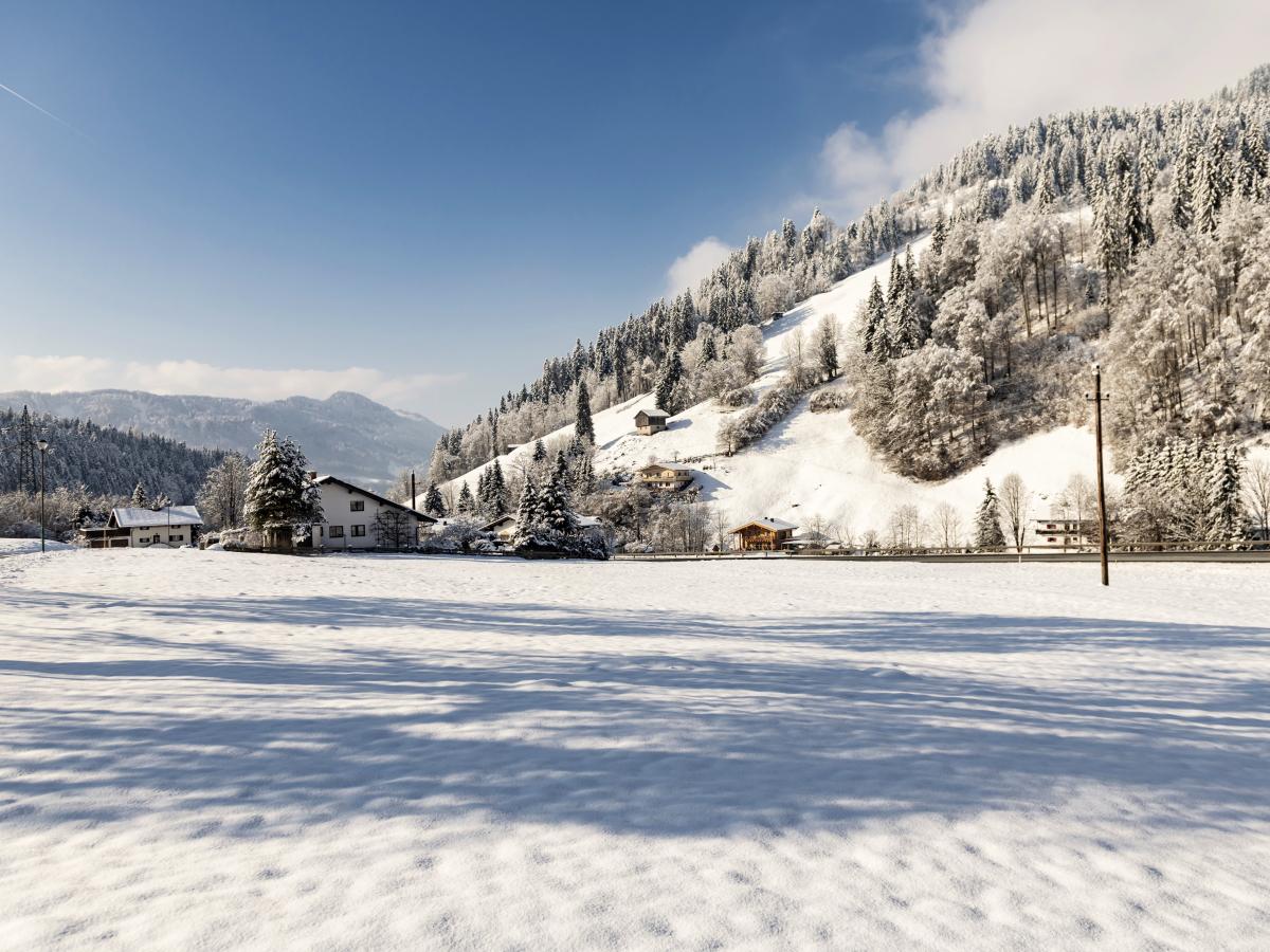 Exterior Winter