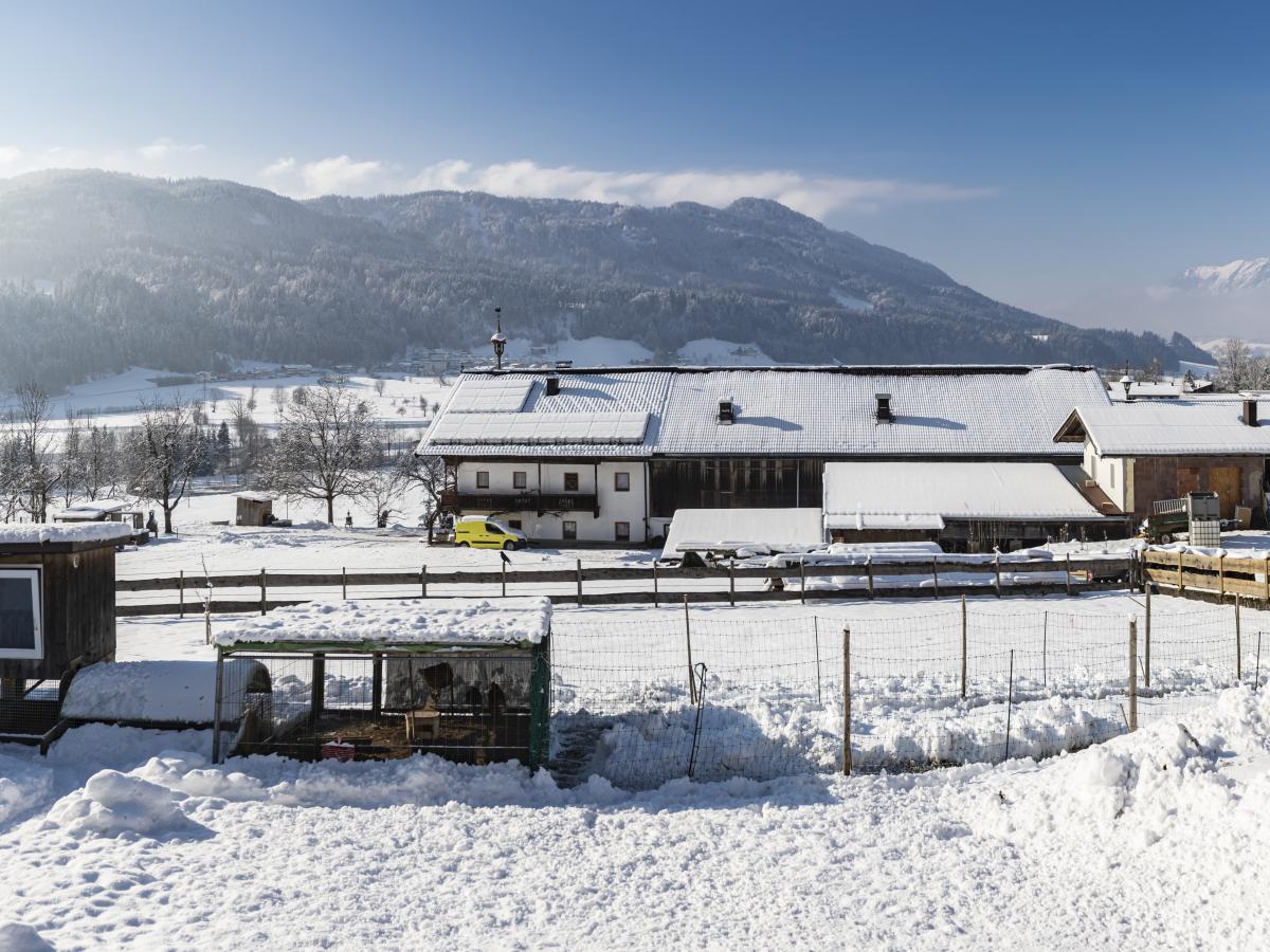 Garden Winter