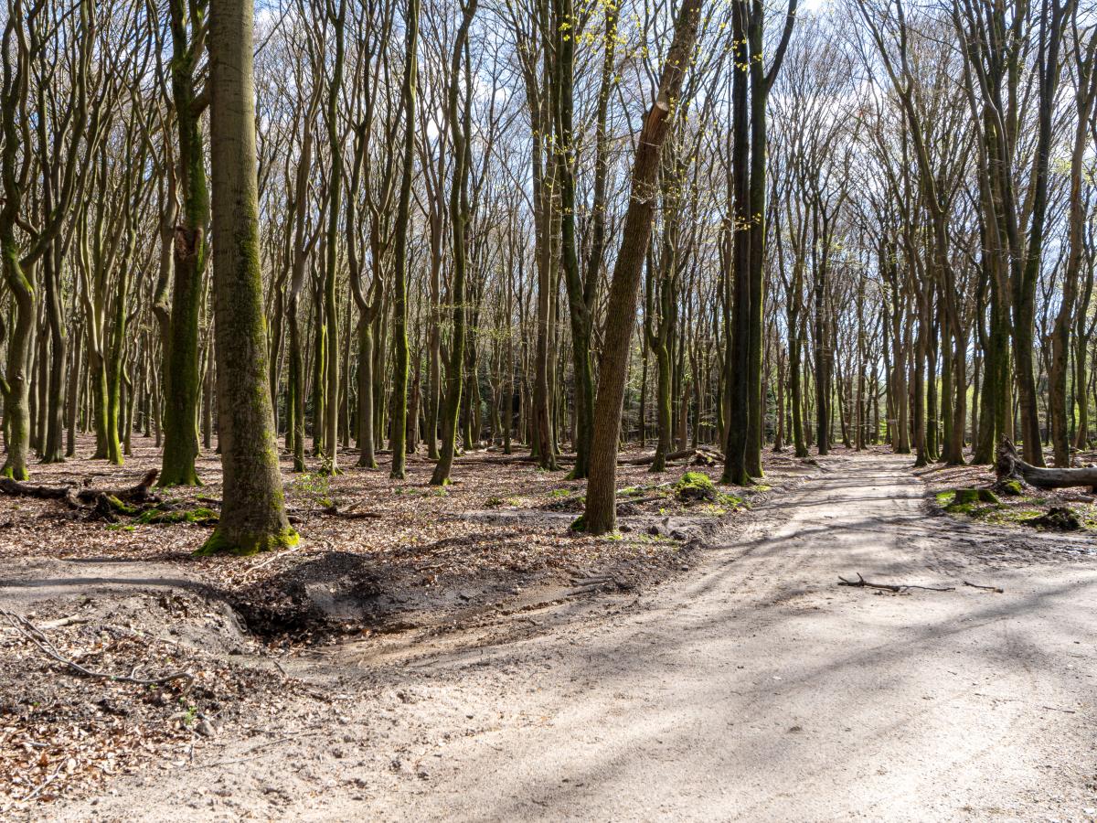 De omgeving van Nunspeet