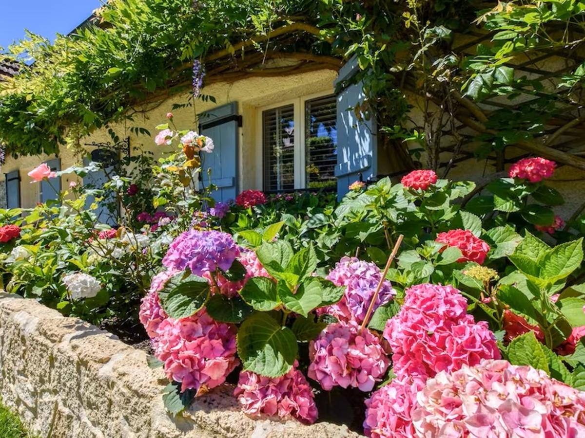 Exterior Summer