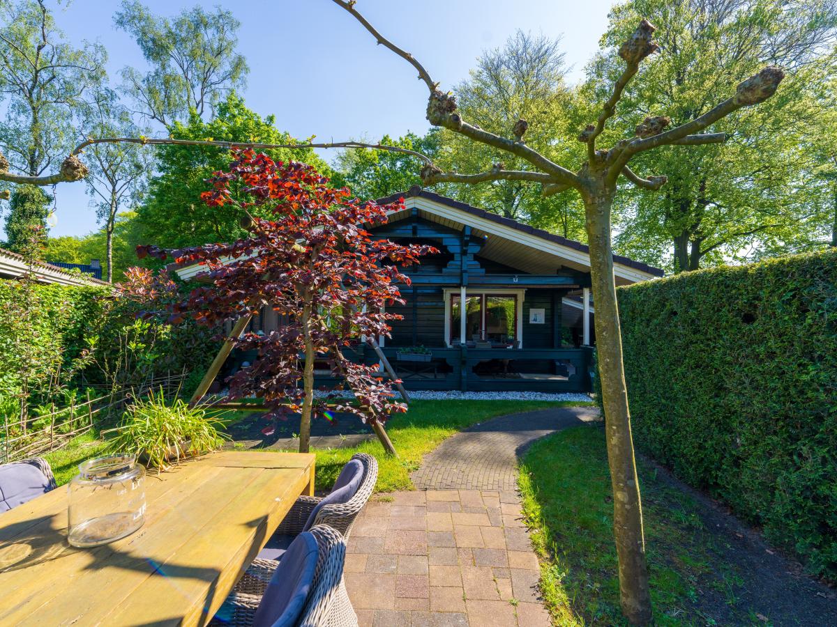Villa photo 1