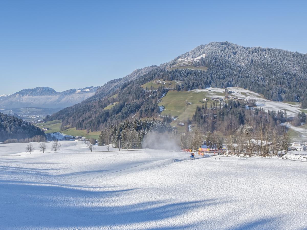 View Winter
