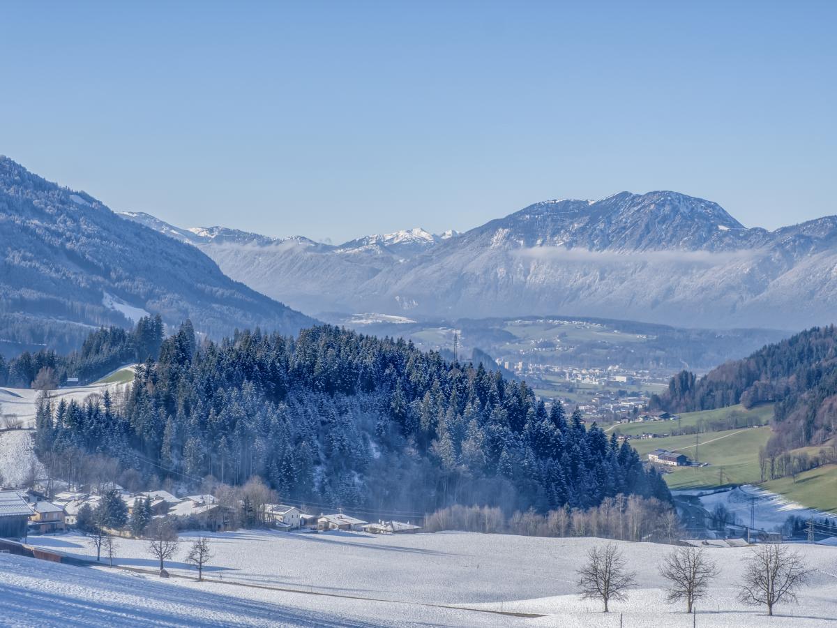 View Winter