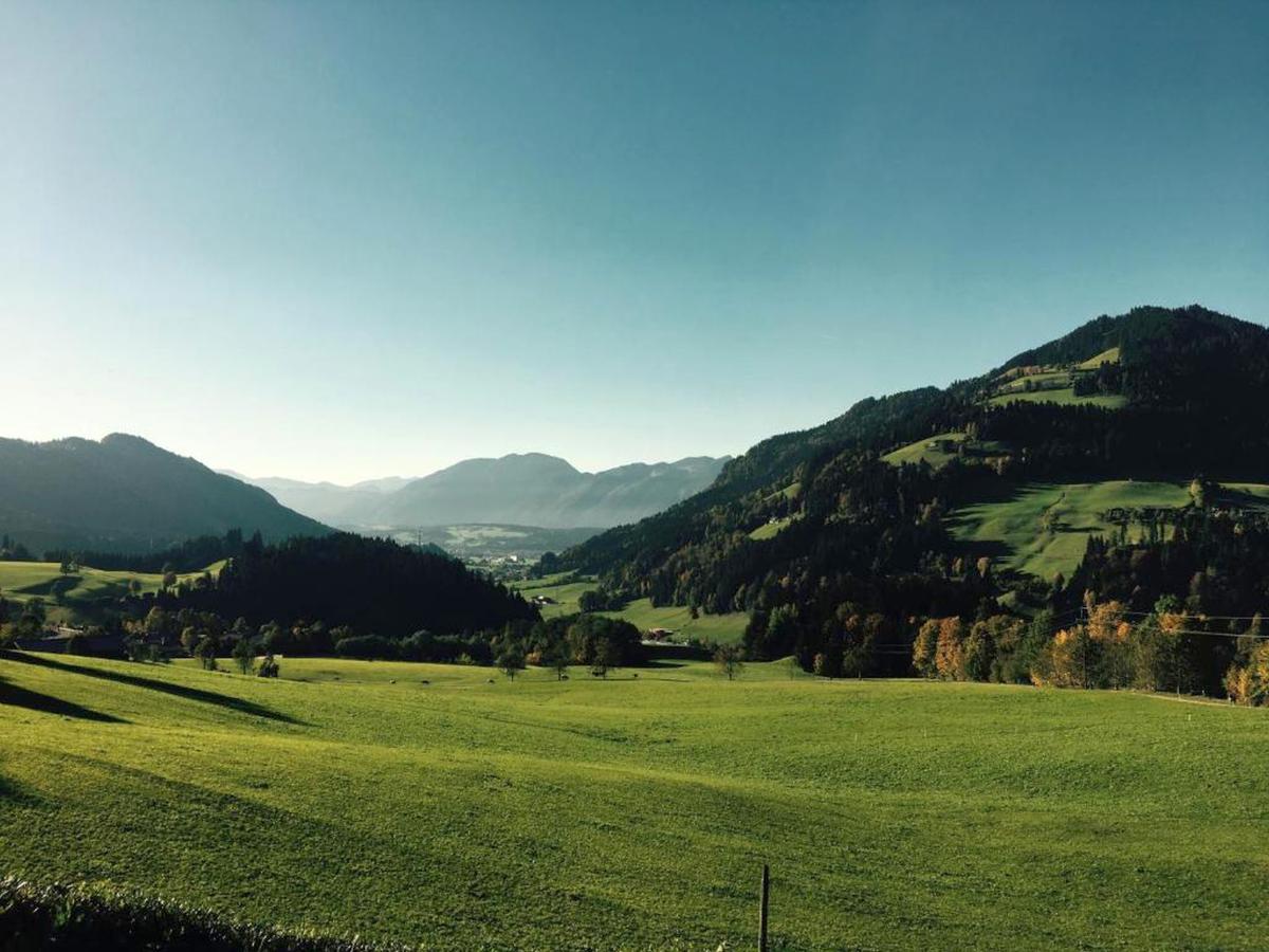 View Summer