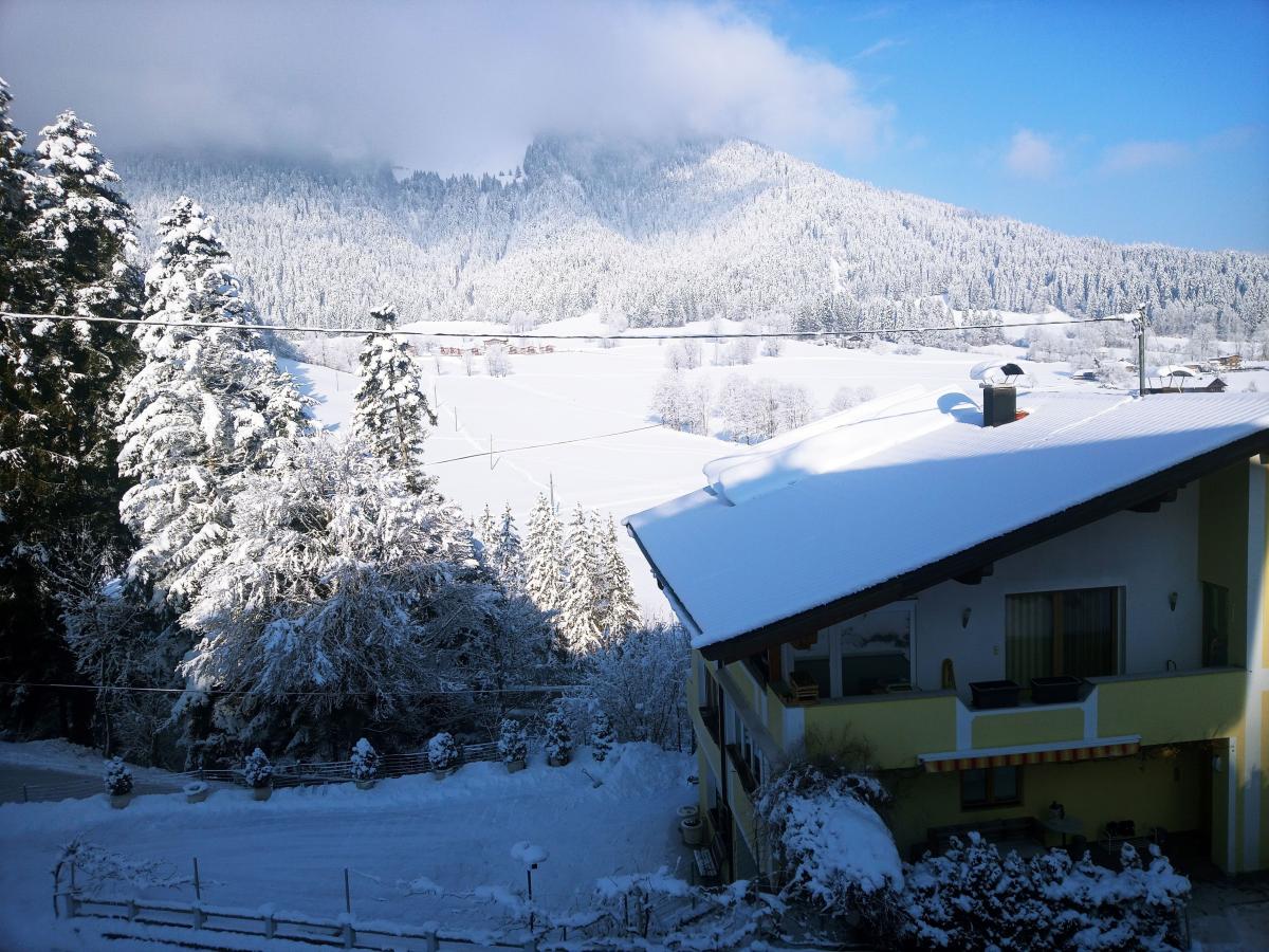 View Winter
