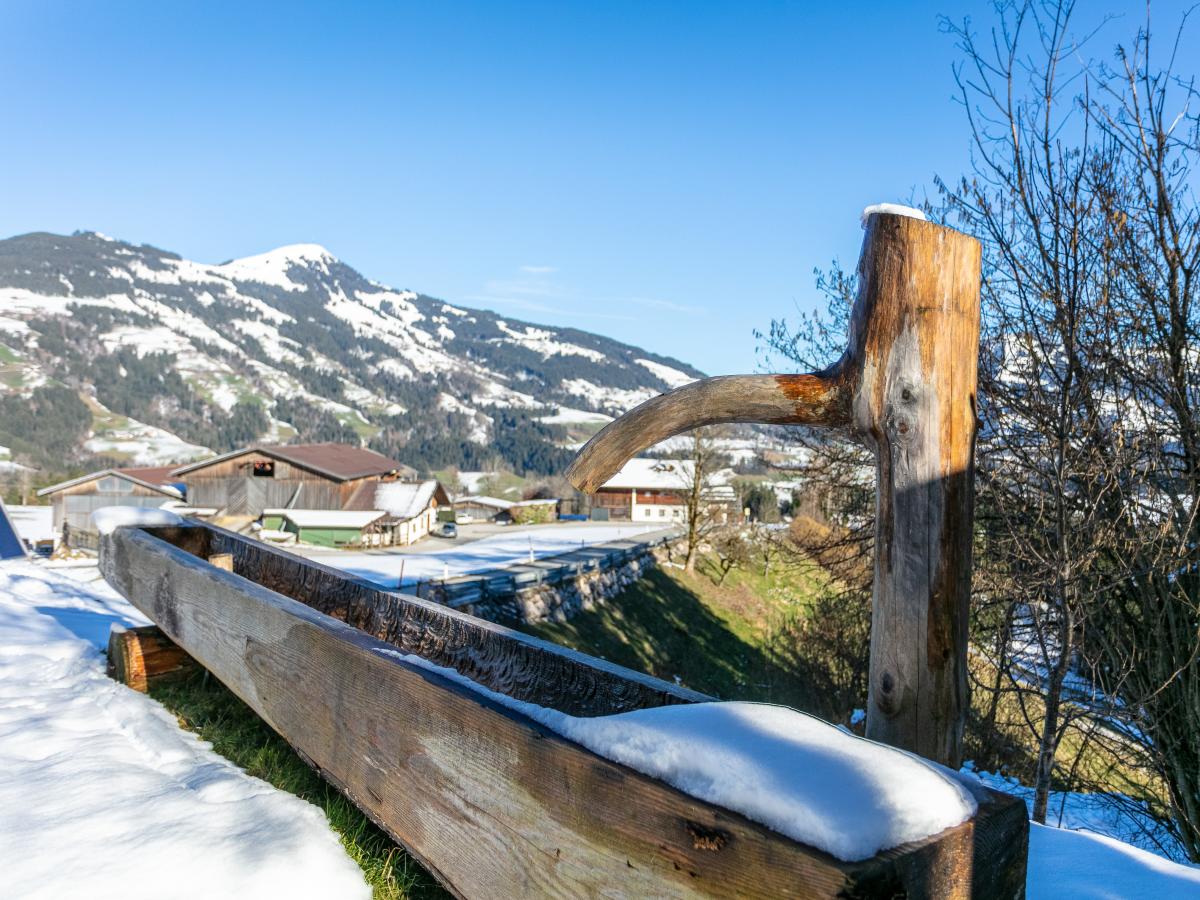 View Winter