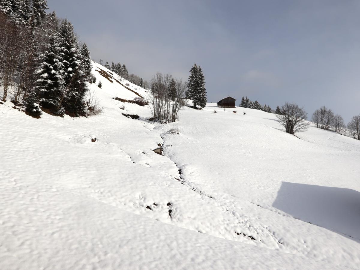 View Winter