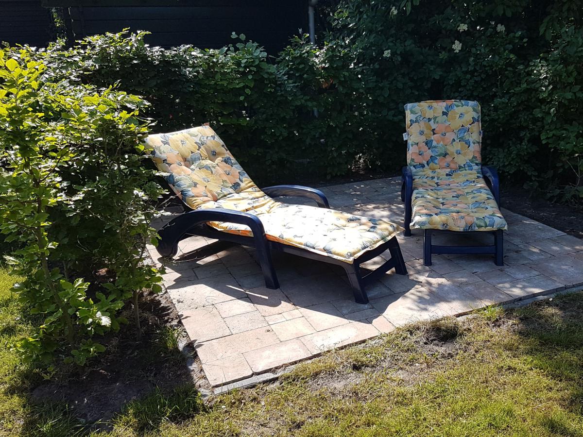 Garden Summer