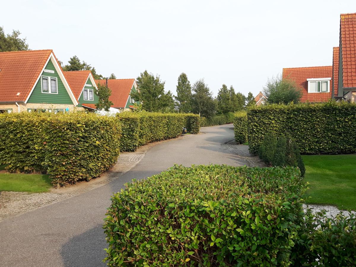 View Summer