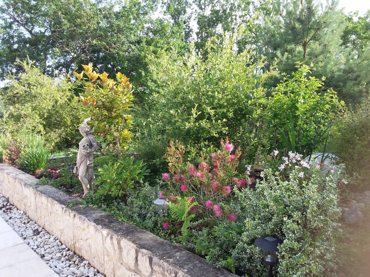 Garden Summer