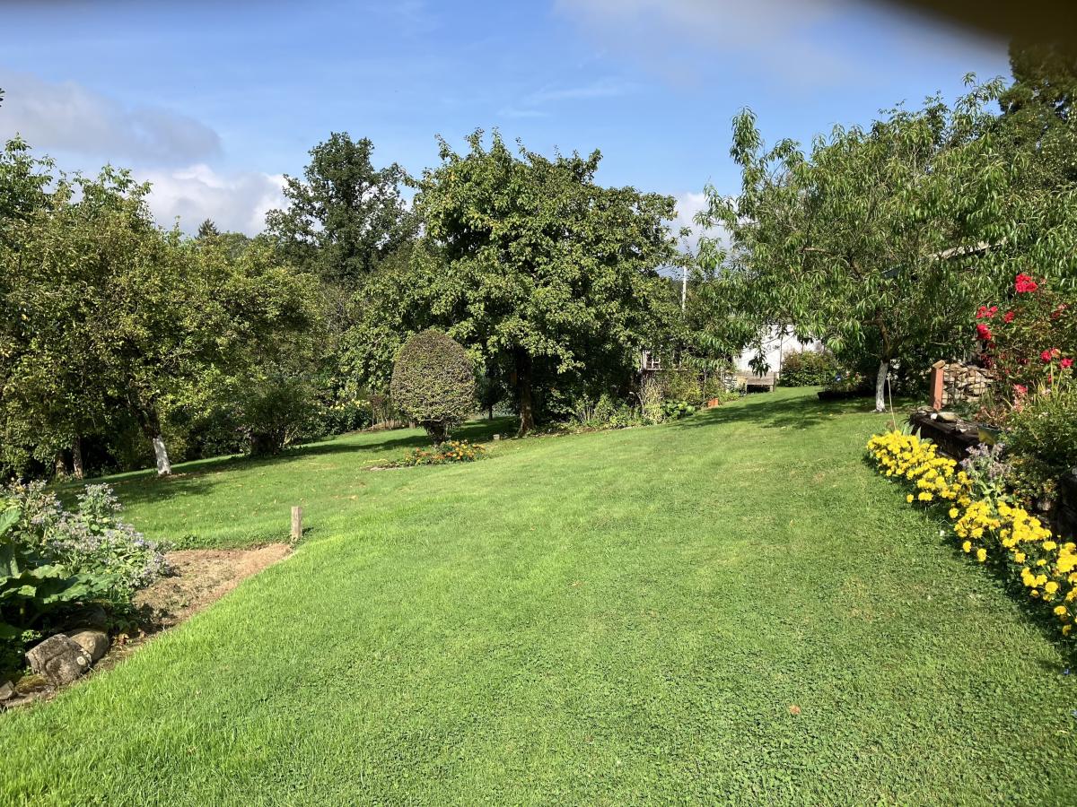 Garden Summer