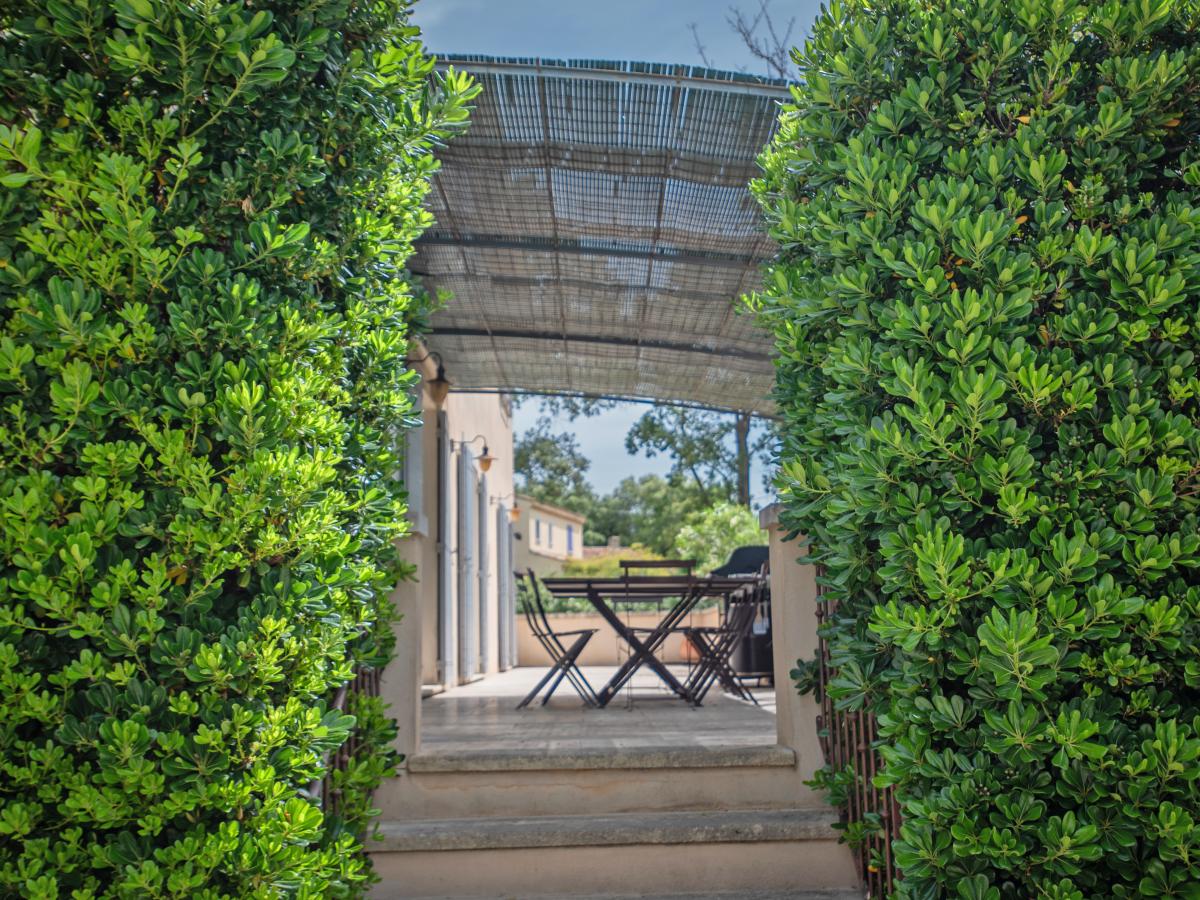 Terrace Balcony