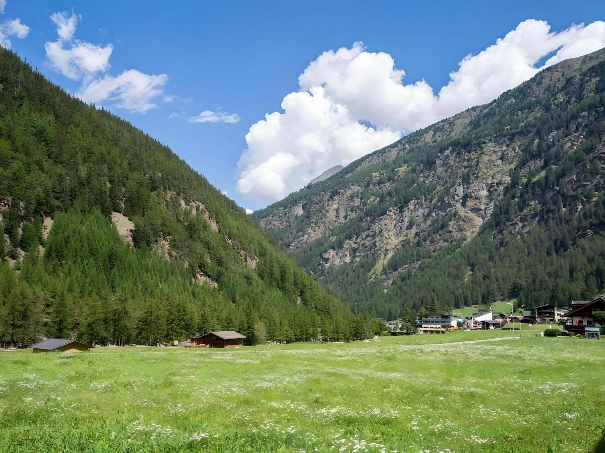 View Summer