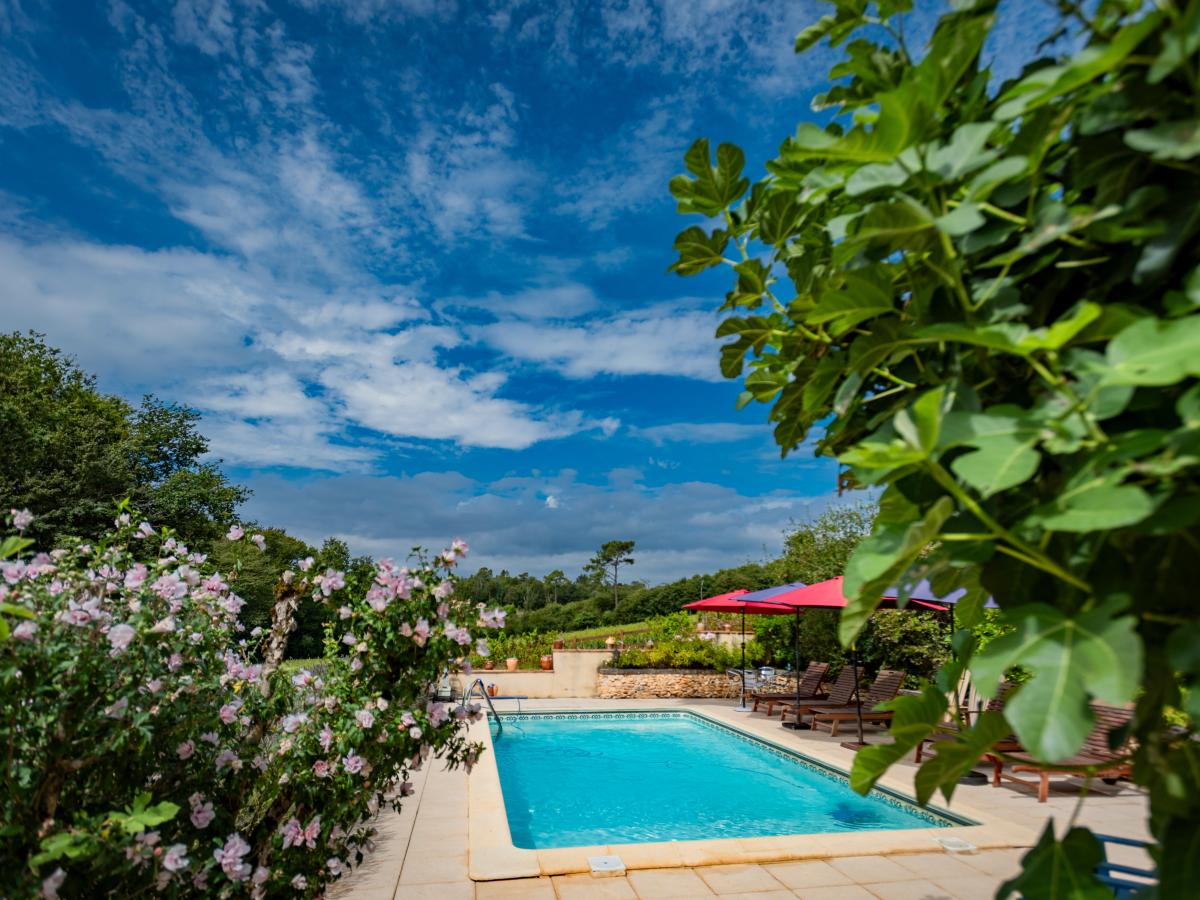 Pool Of House