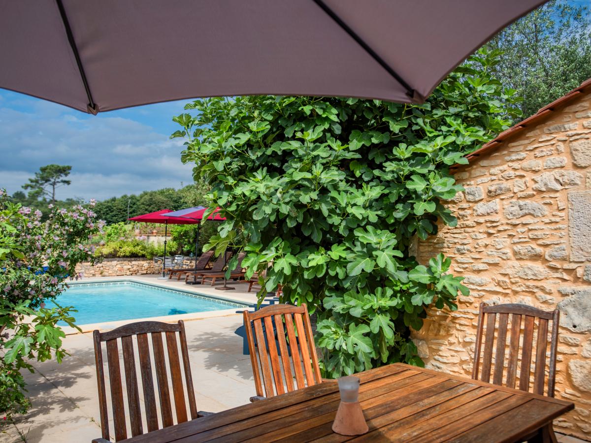 Terrace Balcony