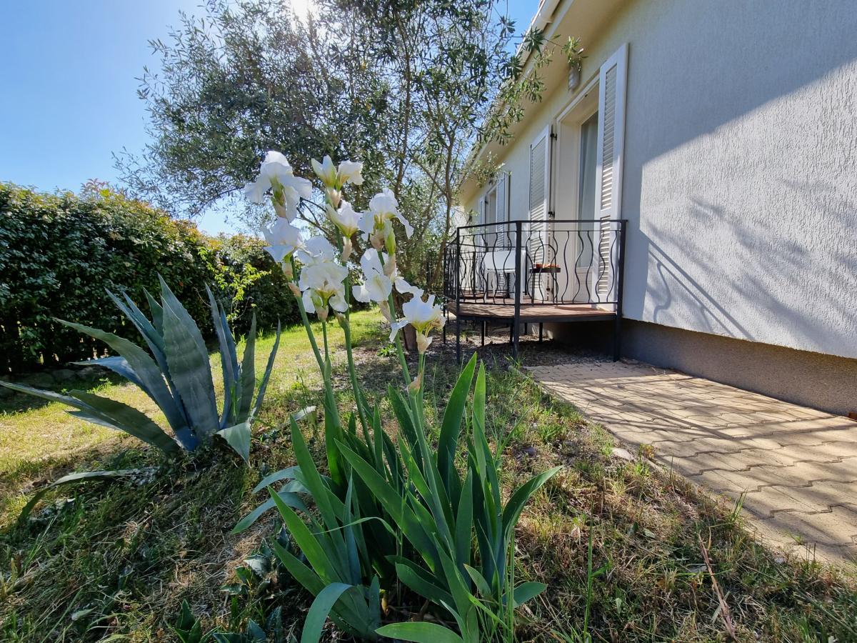 Terrace Balcony