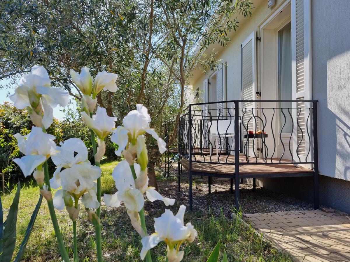 Terrace Balcony