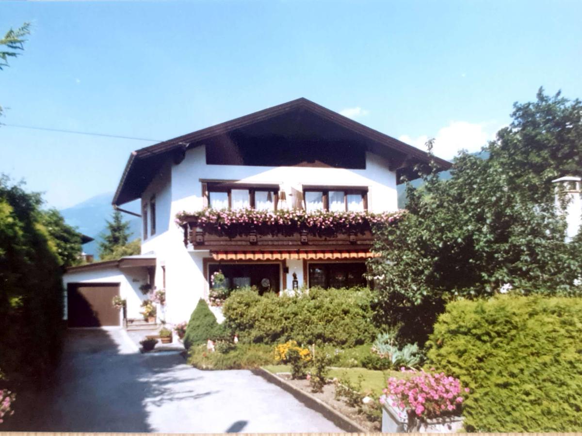 Villa photo 1