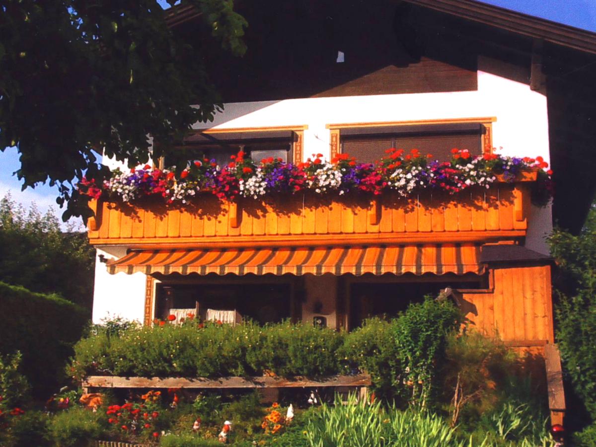Exterior Summer