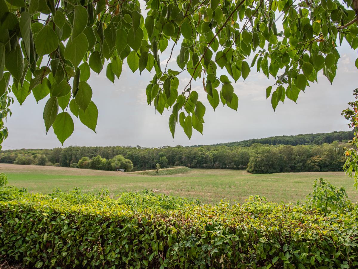 View Summer