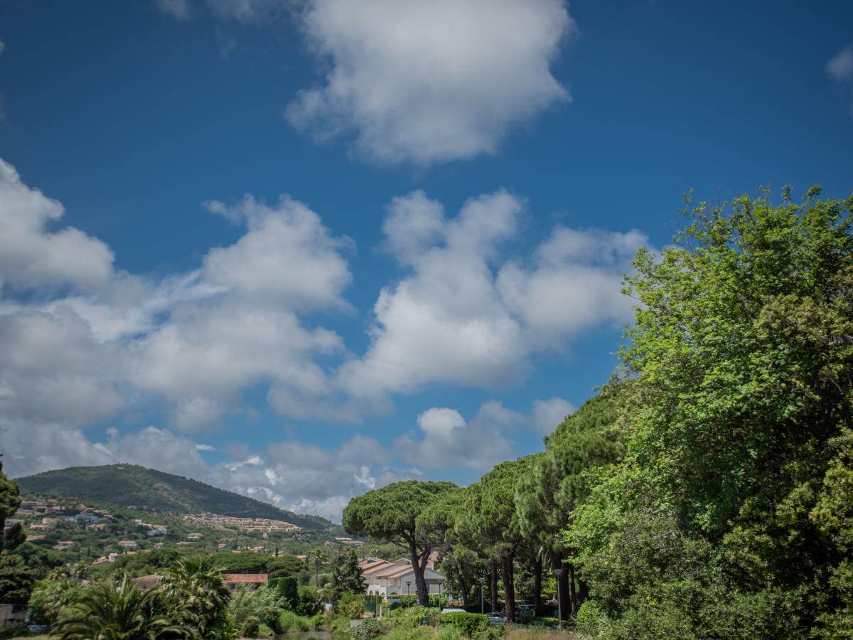 View Summer