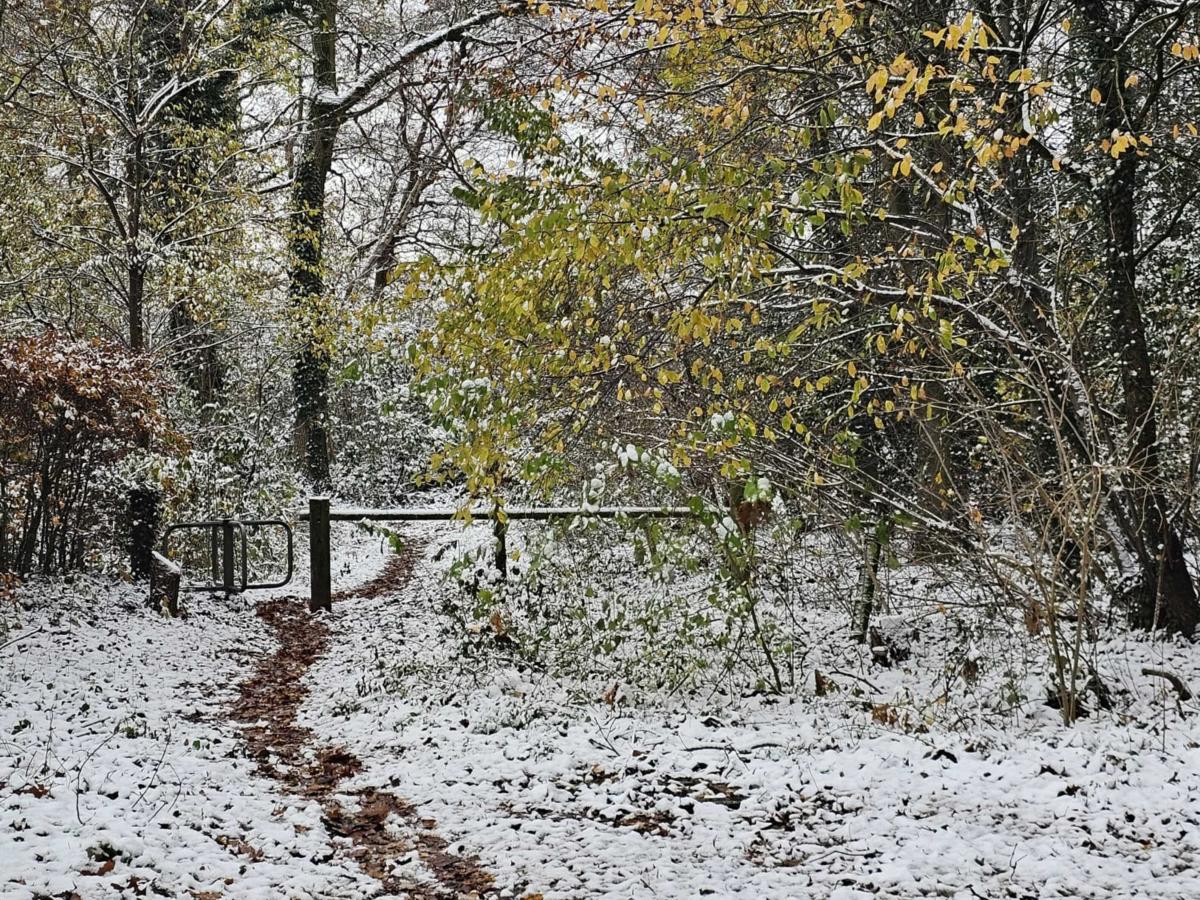 Area Winter1 K M