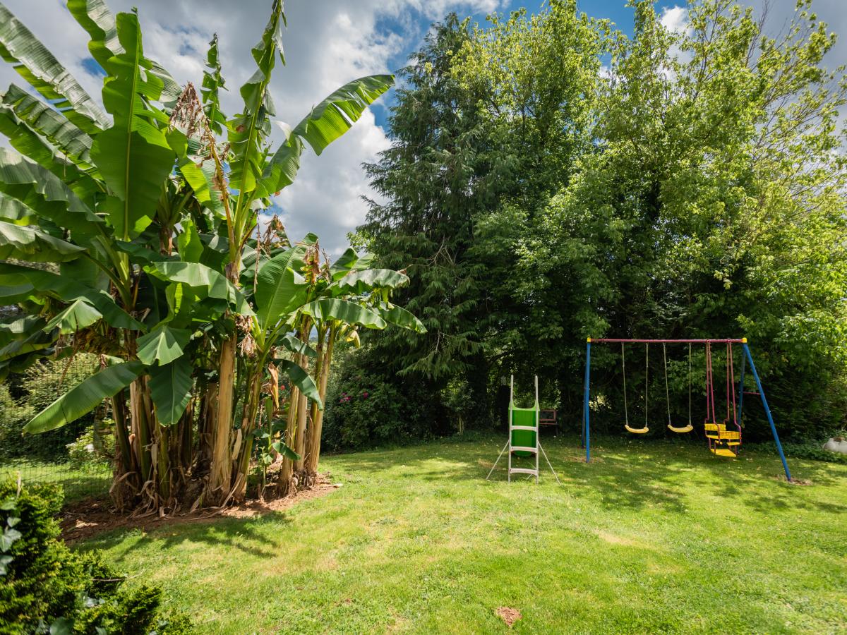 Garden Summer