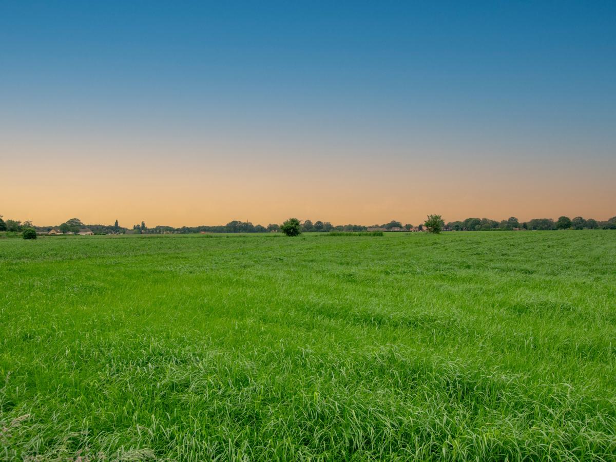De omgeving van Alphen