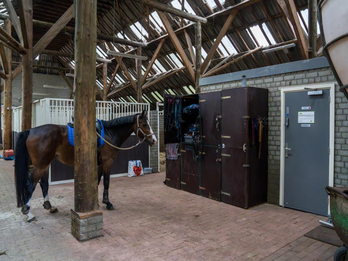 Facilities