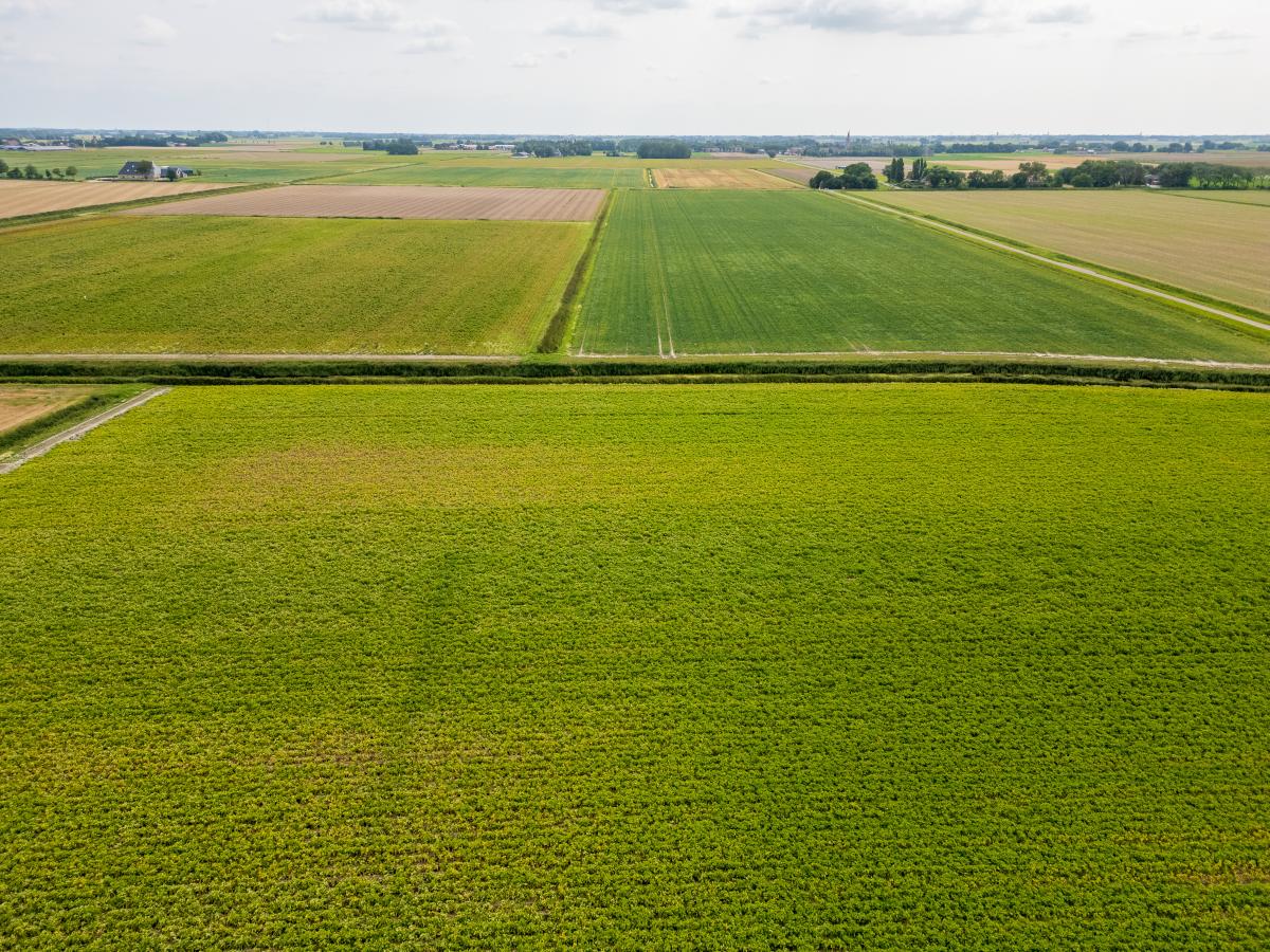 Area Summer20 K M