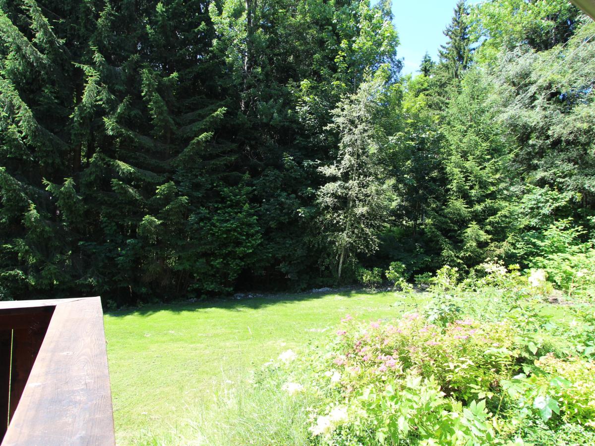 Garden Summer