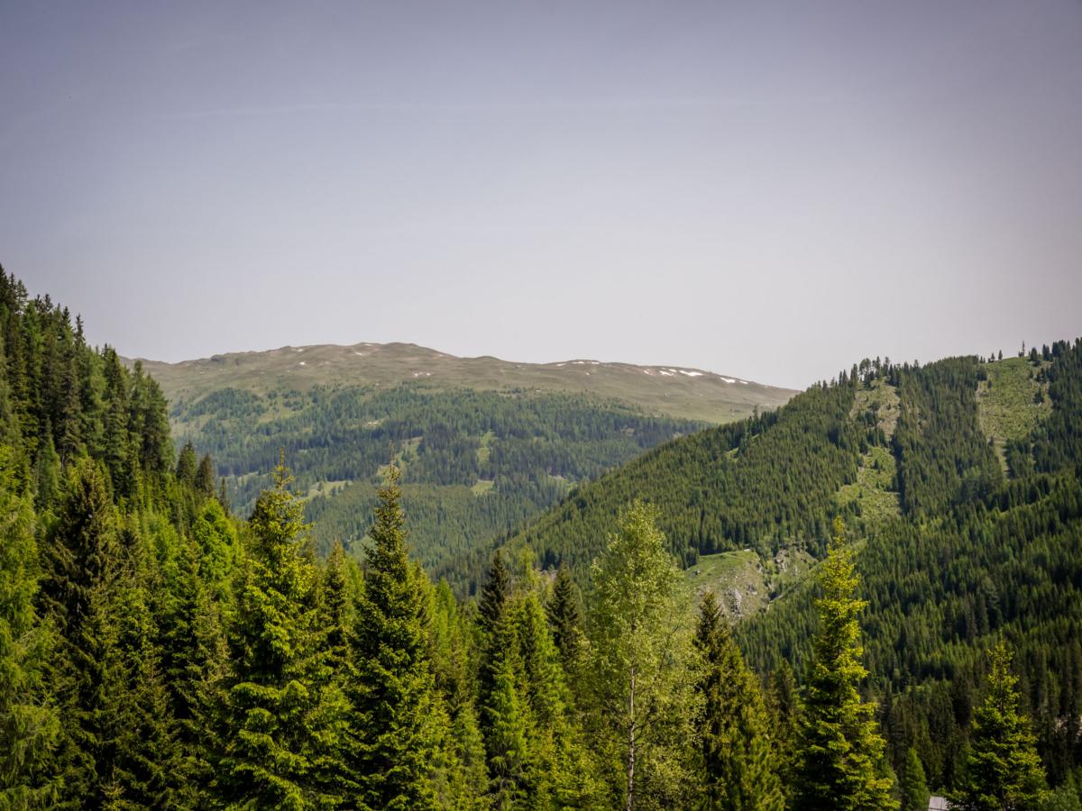 View Summer