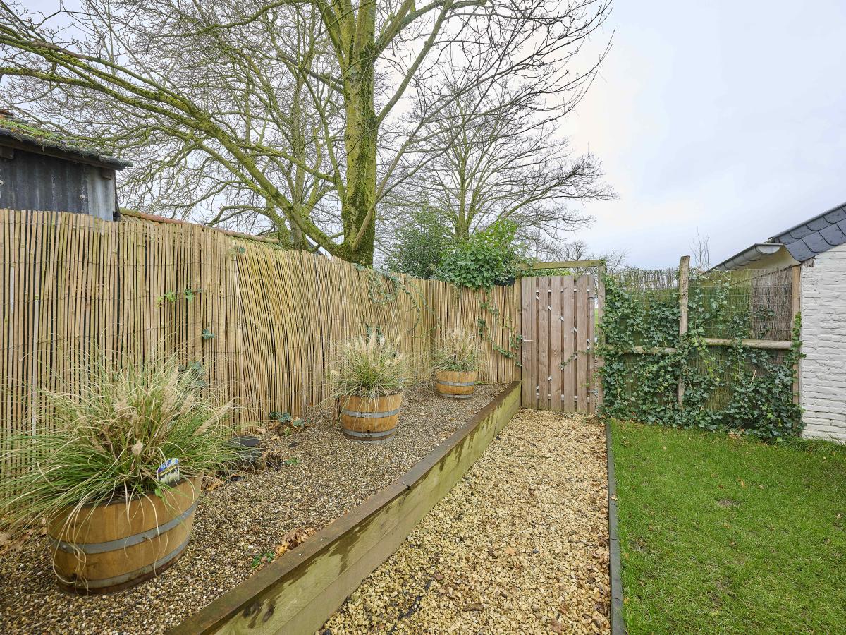 Garden Winter