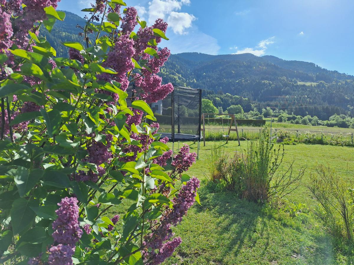 Garden Summer