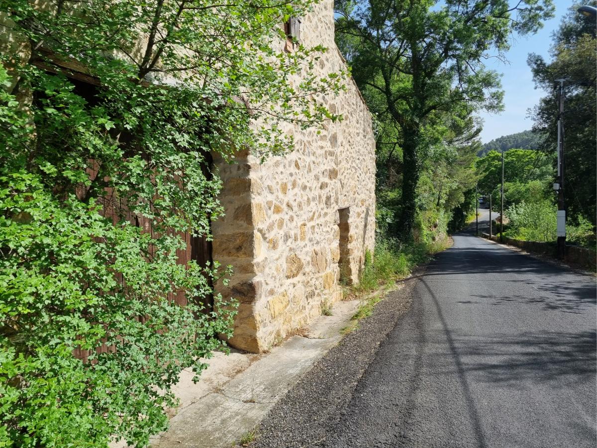 Exterior Summer